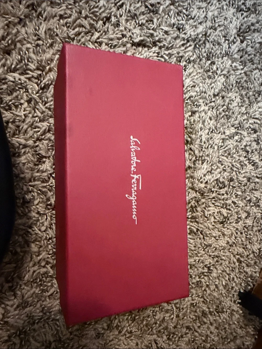 Salvatore Ferragamo chic salvatore